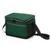 Bolsa-Termica-10-Litros-VERDE-14883-1661196484.jpg
