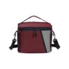 Bolsa-Termica-12L-VERMELHO-27776-1774979859.jpg