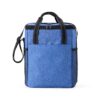 Bolsa-Termica-16-Litros-AZUL-18331-1706897790.jpg
