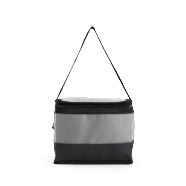 Bolsa-Termica-5L-CINZA-27603-1772819261.jpg