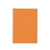 Caderno-Capa-Fosca-Com-Pauta-LARANJA-28873-1782214411.jpg