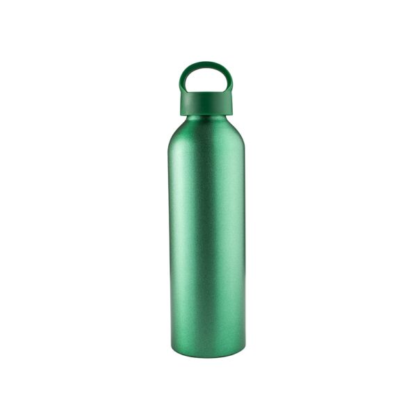 Garrafa-Aluminio-630ml-VERDE-21932-1735567338.jpg