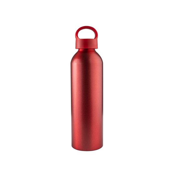 Garrafa-Aluminio-630ml-VERMELHO-21933-1735567349.jpg