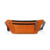 Pochete-Antifurto-LARANJA-27845-1776176124.jpg