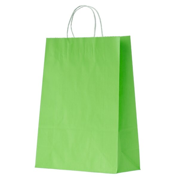 Sacola-Kraft-Grande-VERDE-15519-1669039552.jpg