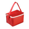 Bolsa Térmica em TNT 80g/m² (18x14x13cm)