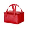 Bolsa-Termica-10-Litros-VERMELHO-9176-1556553148.jpg