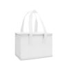 Bolsa-Termica-6-Litros-17303-1695912559.jpg