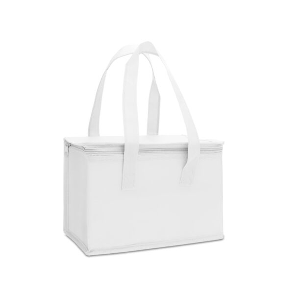 Bolsa-Termica-6-Litros-17303-1695912559.jpg