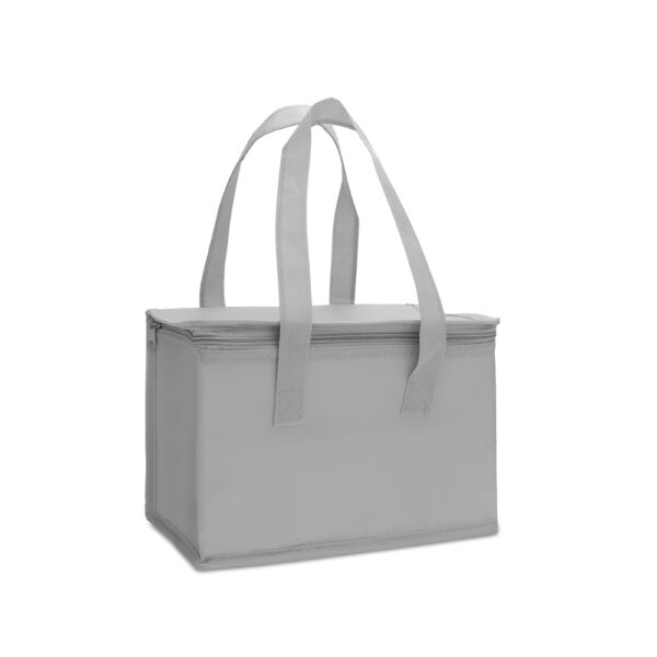 Bolsa-Termica-6-Litros-CINZA-17305-1695912575.jpg