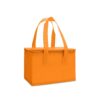 Bolsa-Termica-6-Litros-LARANJA-17306-1695912590.jpg