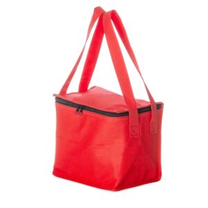 BOLSA TÉRMICA 10L