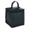 Bolsa-Termica-PRETO-10921-1571227549.jpg