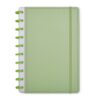 Caderno-de-Disco-VERDE-26393-1764092238.jpg