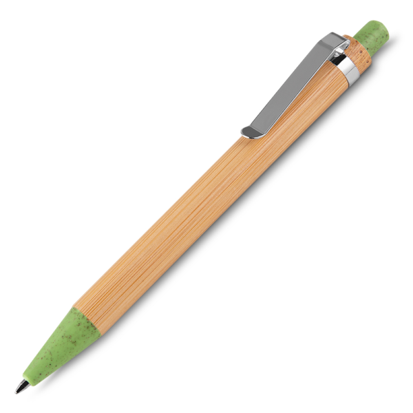 Caneta-VERDE-2012-1637321848.png
