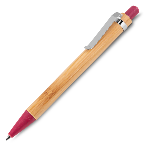 Caneta-VERMELHO-2013-1637321877.png