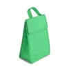 BOLSA TÉRMICA EM TNT 80G/M² – VERDE – 27X17X10,5 CM