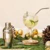 KIT PARA GIN / DRINKS – 4 PÇS