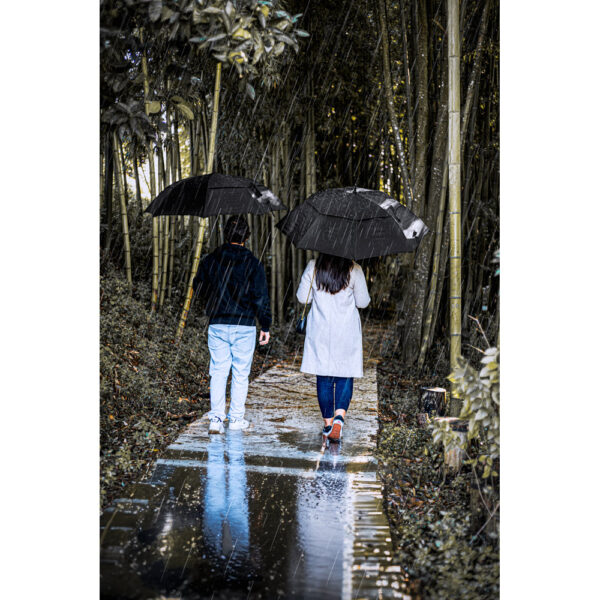 GAVIN. Guarda-chuva de 27’5” em poliéster 100% reciclado pongee 190T com abertura automática
