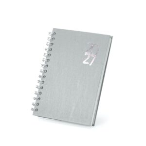 AGENDA DIÁRIA